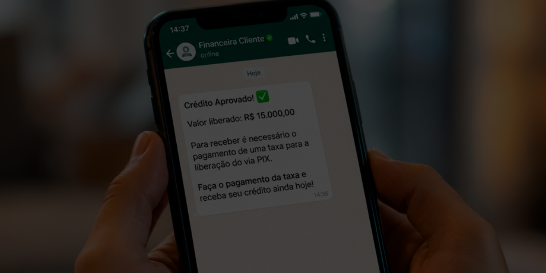 Confirmar informações nos canais oficiais é uma das formas mais eficazes de evitar golpes financeiros.